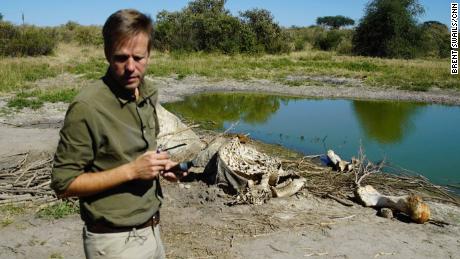 De terugkeer van Botswana naar de jacht op olifanten zal geen problemen oplossen, zegt de ex-president