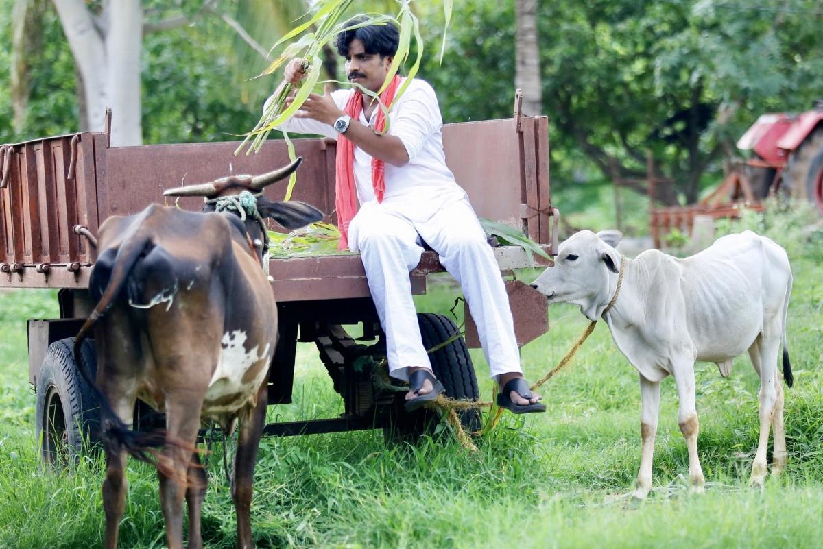 Crazy Ram Gopal Varma zorgt ervoor dat Pawan Kalyan-fans Rs 25 betalen om de Power Star-trailer te bekijken