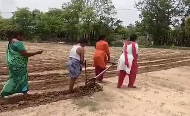 Chandrababu Naidu om het onderwijs van Andhra Farmer’s Daughters te verzorgen