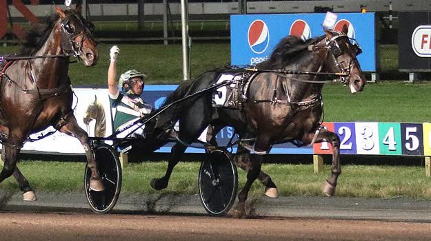 Tall Dark Stranger scoort een nekoverwinning in Meadowlands Pace