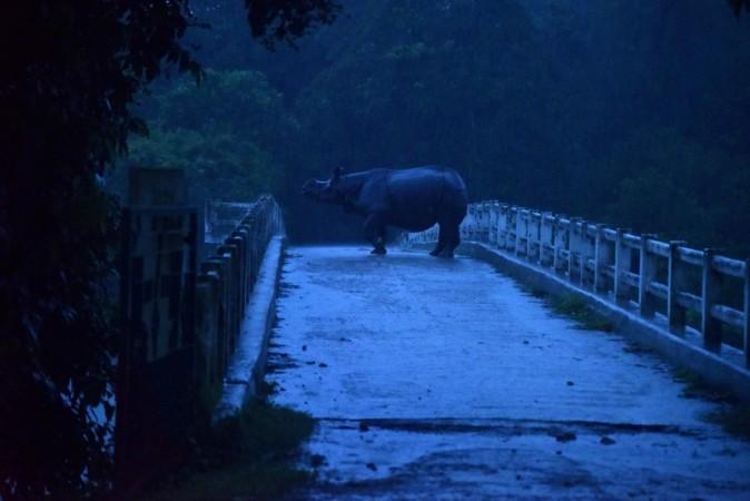 Assam Floods