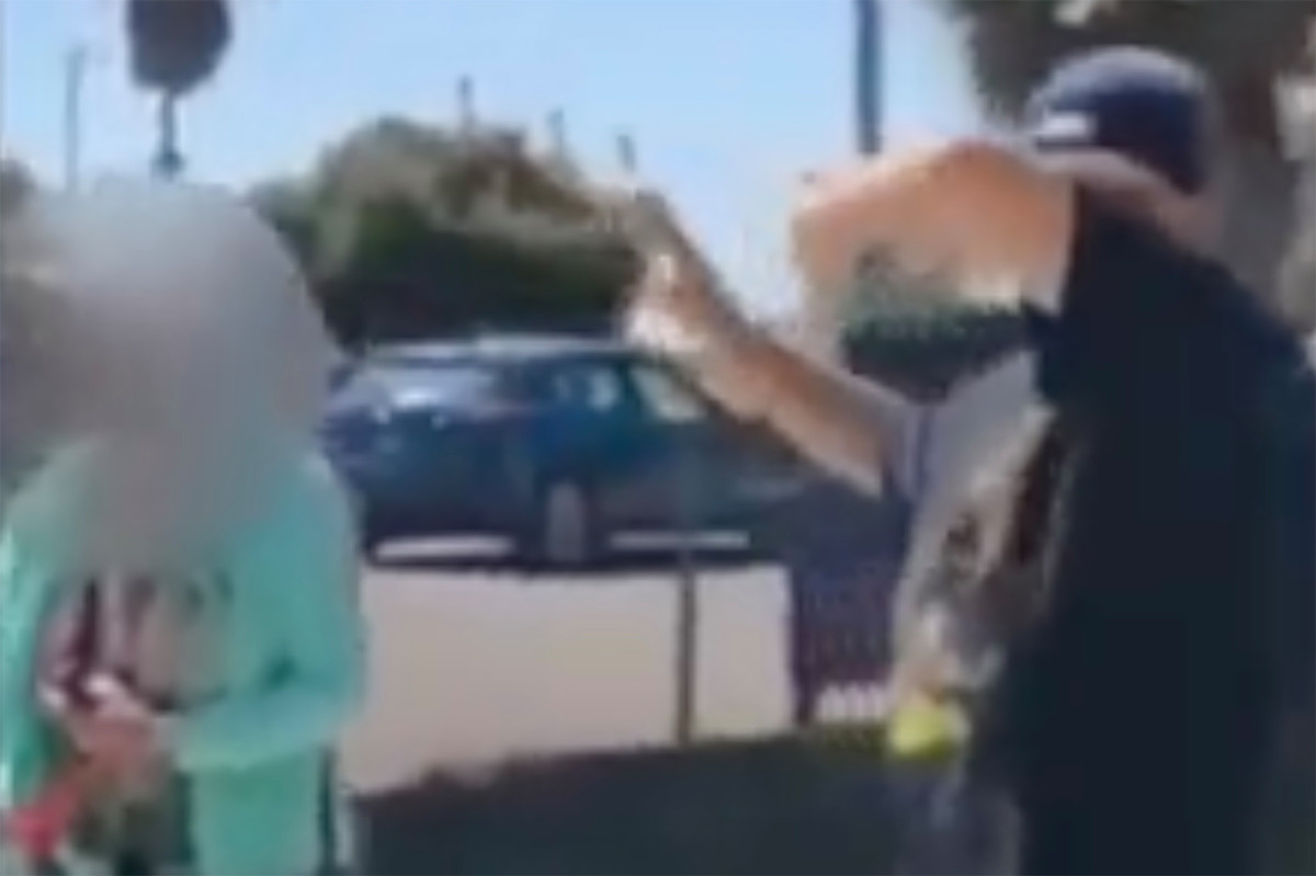 Vrouw Maces koppelen voor het niet dragen van maskers in het hondenpark in Californië: video