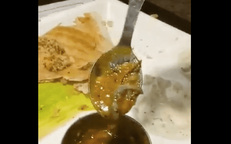 Het Saravana Bhavan-restaurant in Delhi serveert dode hagedis met sambar, zaak ingediend