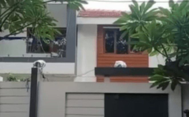 Rovers uit Hyderabad werden op de camera betrapt op het stelen van contant geld, juwelen uit het huis van de makelaar.  Bekijk video