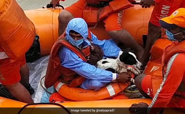 NDRF-chef Satya Pradhan deelt verhaal over overstromingen