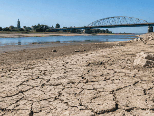 Kabinet schrapt honderden miljoenen voor droogtebestrijding ondanks miljarden schade Kabinet schrapt honderden miljoenen voor droogtebestrijding ondanks miljarden schade